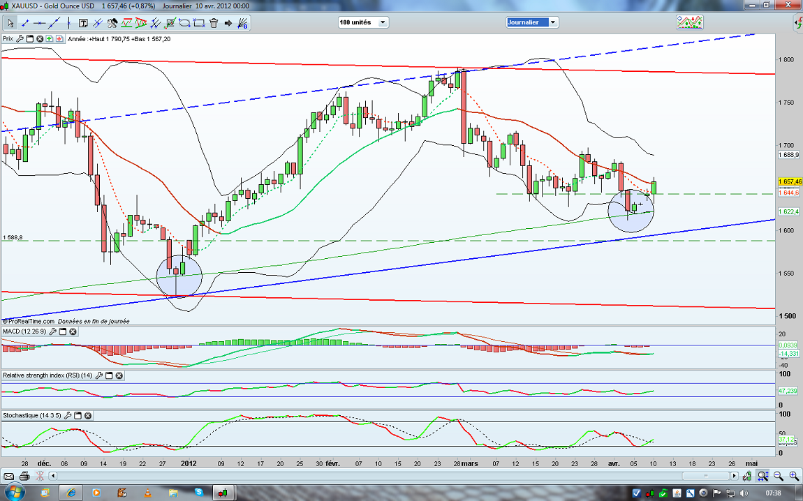 Sans titre daily.png