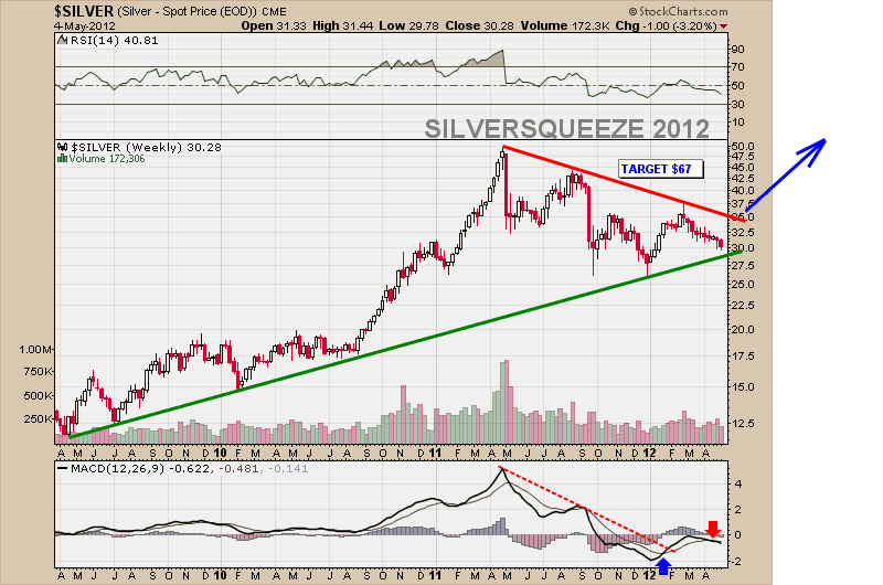silversqueeze 2012.png