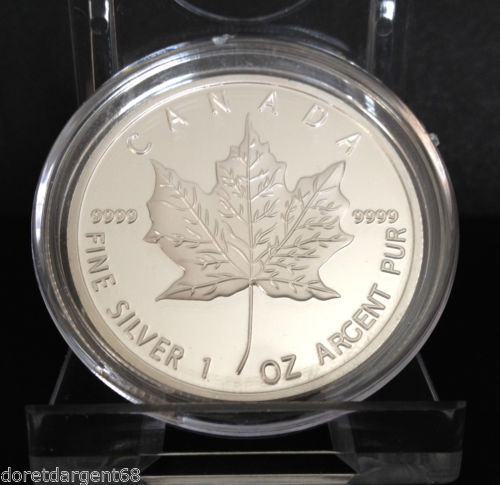 fausse silver maple.jpg