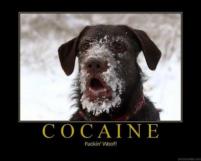 cocaine.jpg