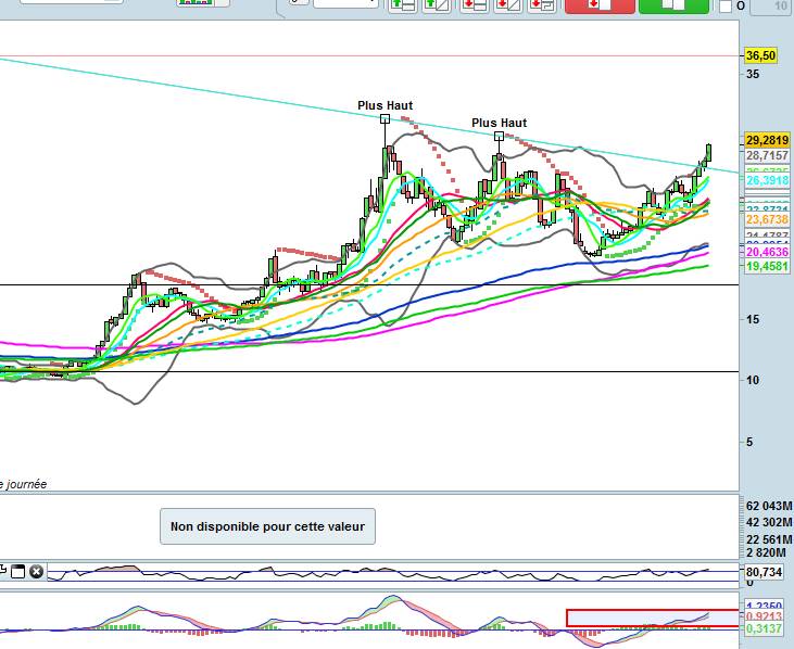 crude gold H.jpg