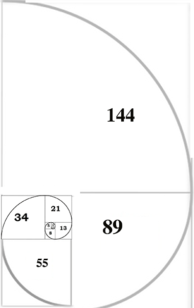 Silver-Spirale-de-Fibonacci.png
