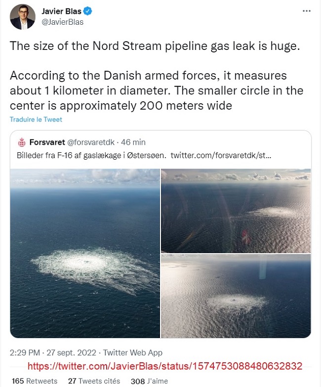 NS1.jpg