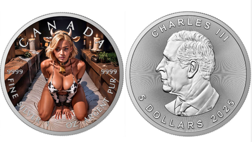 Capture d'écran 2025-11-27 205622.png