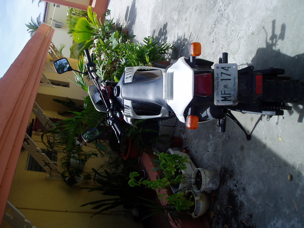 P1010174.JPG